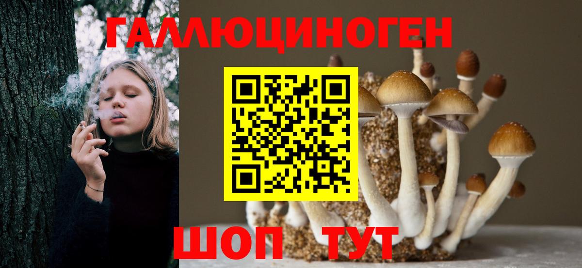 Галлюциногенные грибы MAGIC MUSHROOMS  Вход с VPN  Галлюциногенные грибы Cubensis  Свободный 